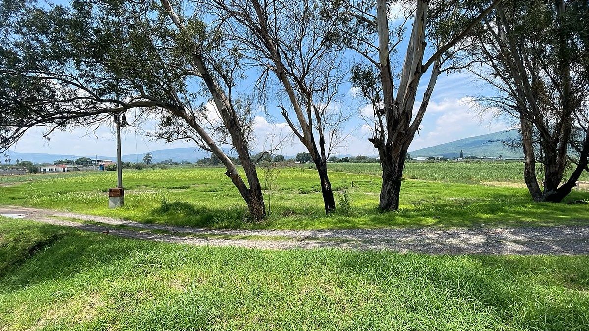 Lote em Los Pinos, Tlajomulco de Zúñiga, foto 3 de 13