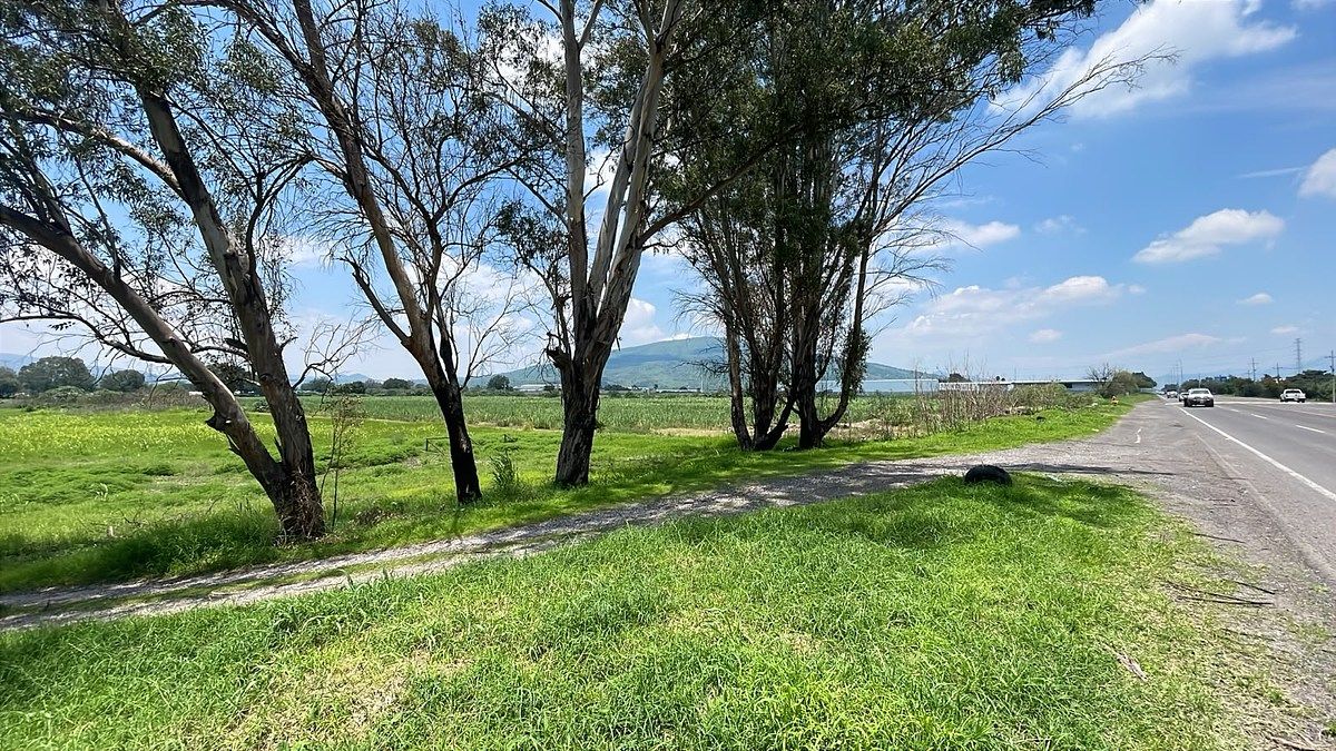 Lote em Los Pinos, Tlajomulco de Zúñiga, foto 4 de 13