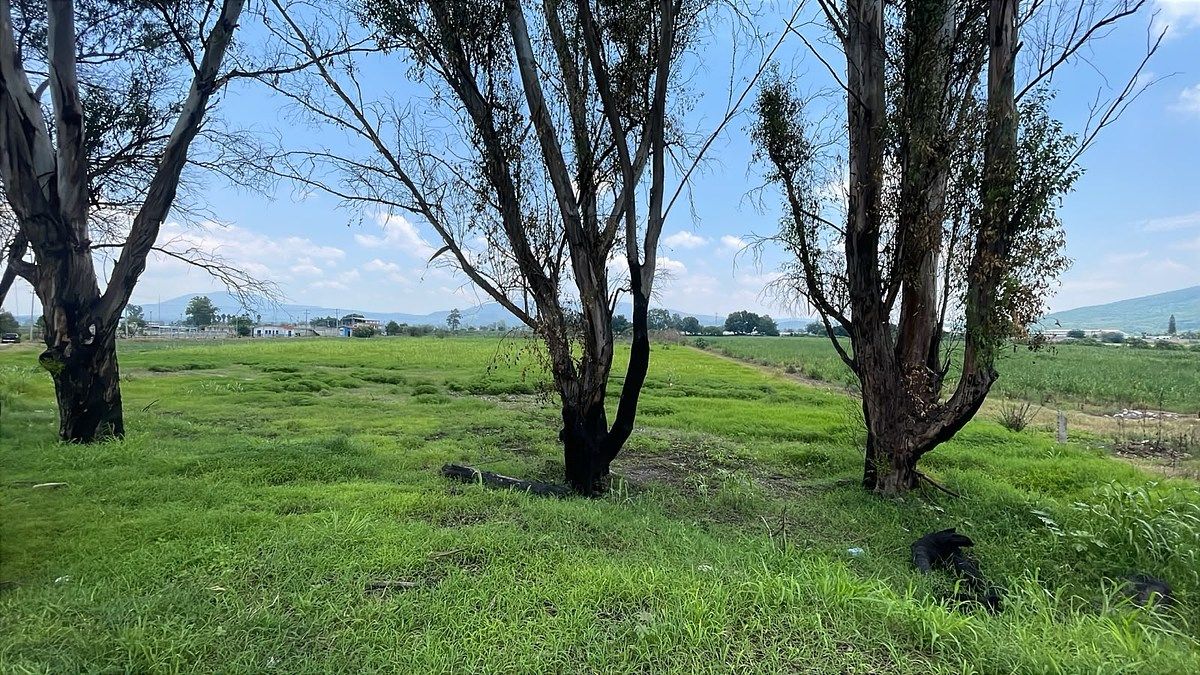 Lote em Los Pinos, Tlajomulco de Zúñiga, foto 2 de 13