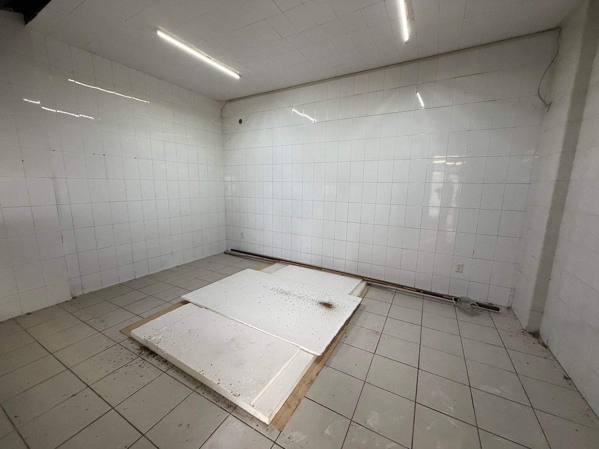 Casa em Vallarta Poniente, Guadalajara, foto 17 de 33
