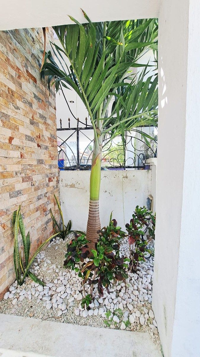 Casa em Misne III, Mérida, foto 17 de 18