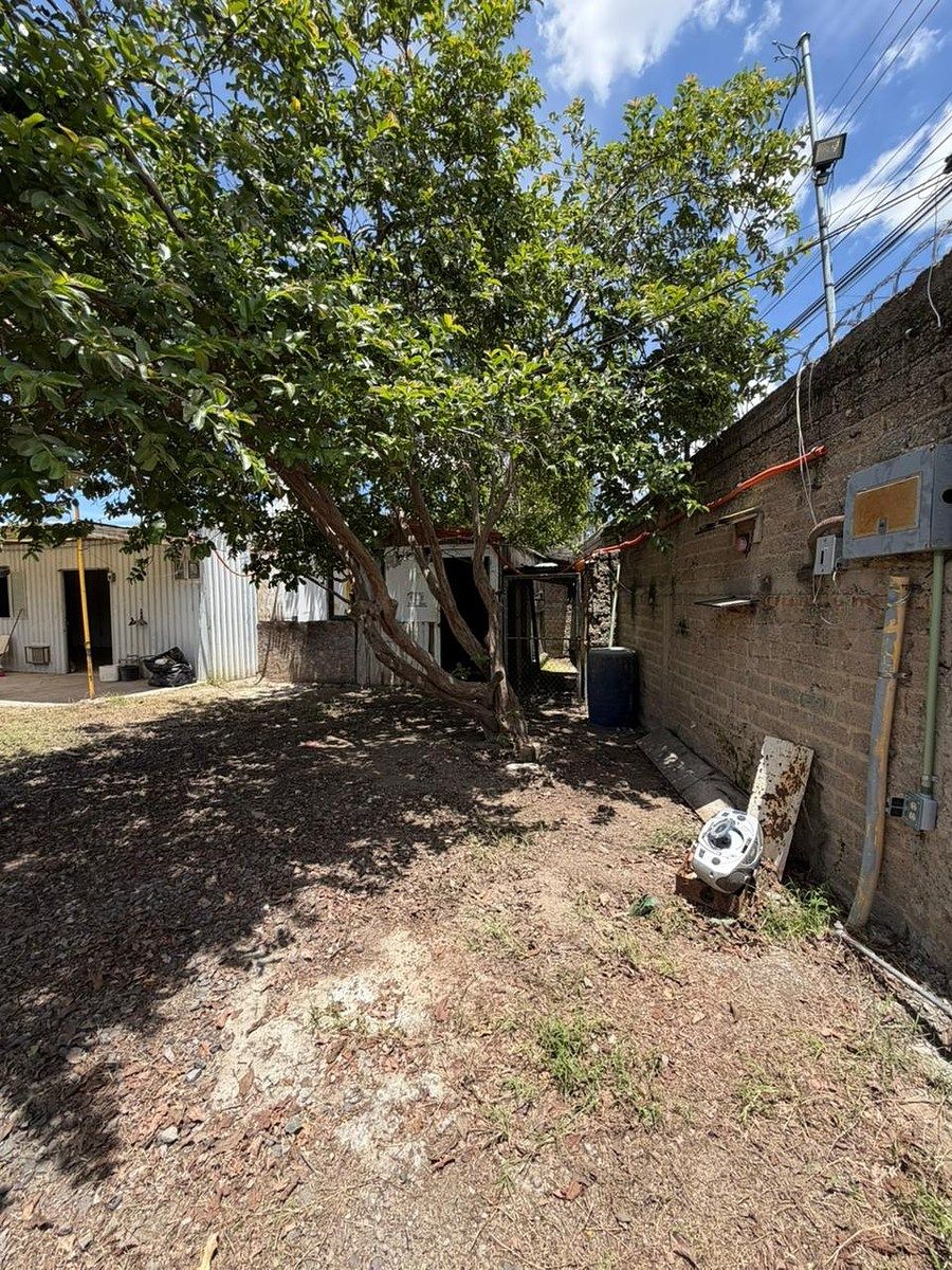 Lote em Miramar, Zapopan, foto 13 de 22