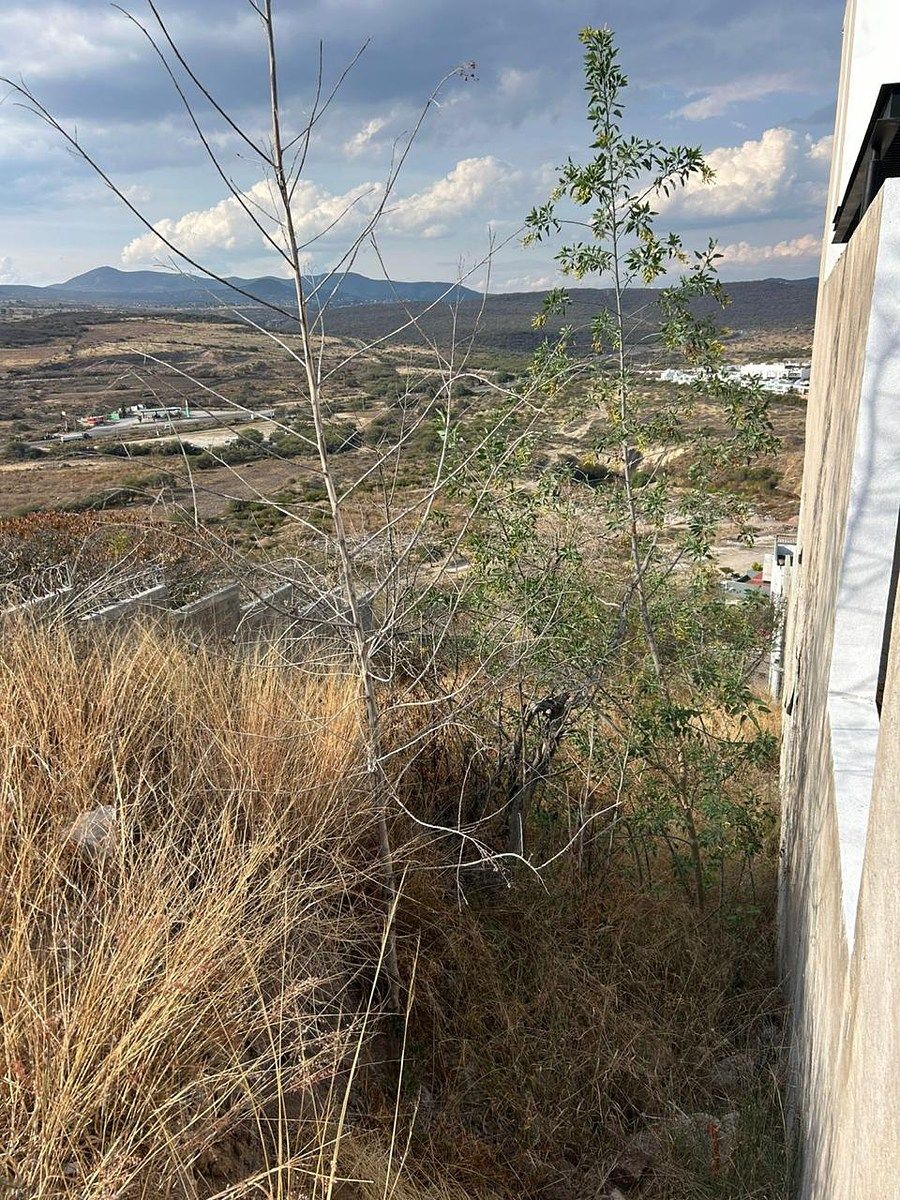 Terreno en Cumbres del Lago, Querétaro, foto 6 de 7