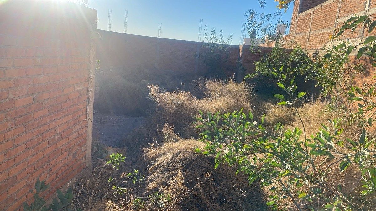Lot in Pedregal de San Pedro, Durango, photo 8 of 16