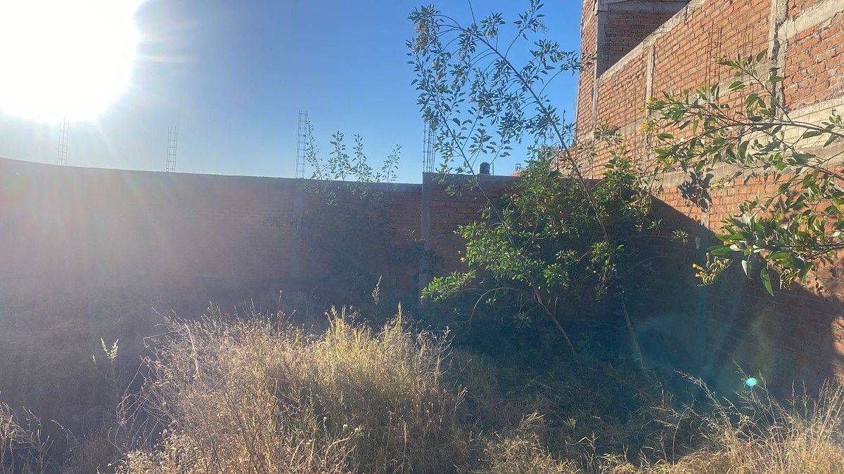 Lot in Pedregal de San Pedro, Durango, photo 13 of 16