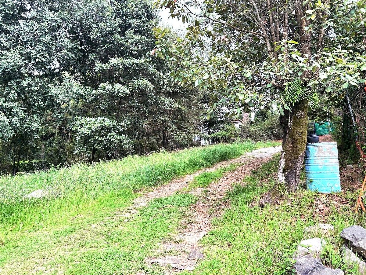 TERRENO EN VENTA CERRO GORDO VALLE DE BRAVO - foto 2