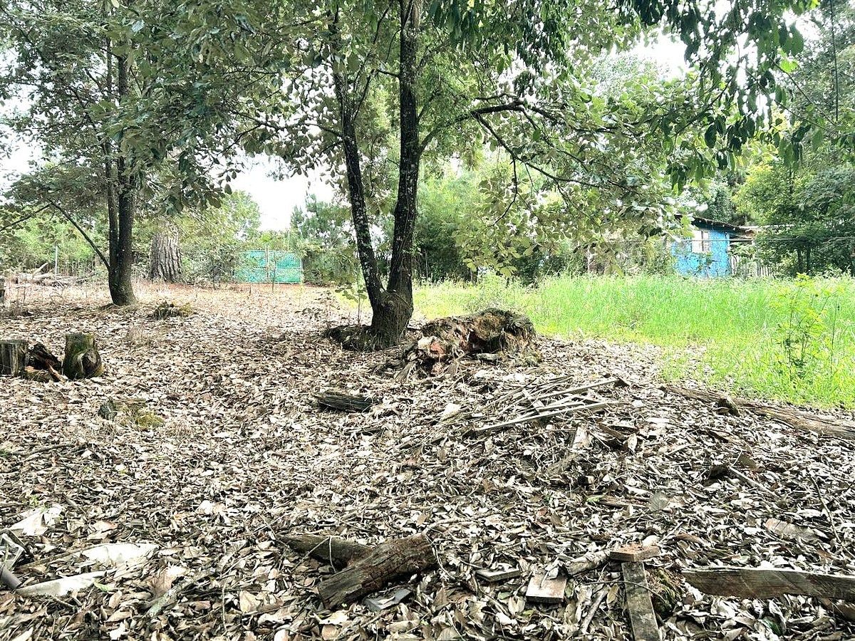 Lote em Cerro Gordo, Valle de Bravo, foto 6 de 10