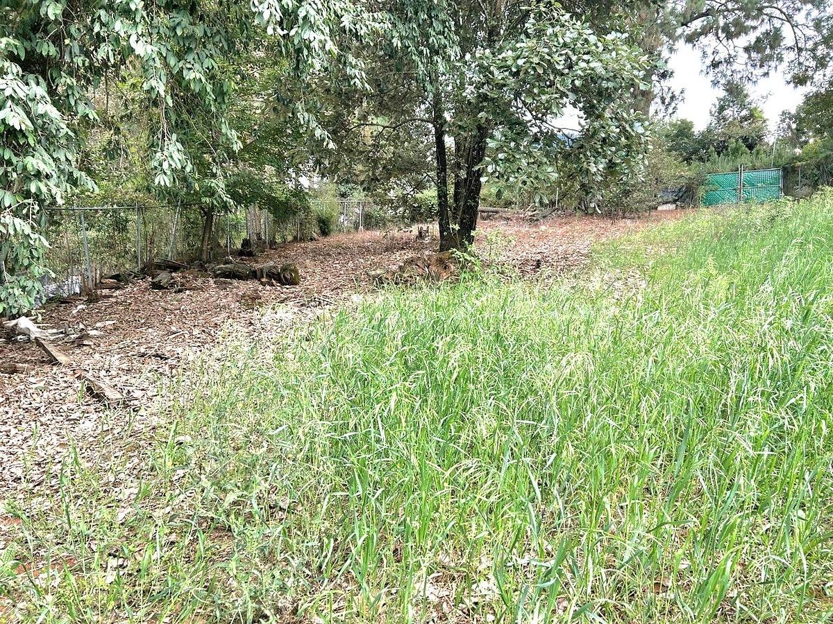 TERRENO EN VENTA CERRO GORDO VALLE DE BRAVO - foto 4