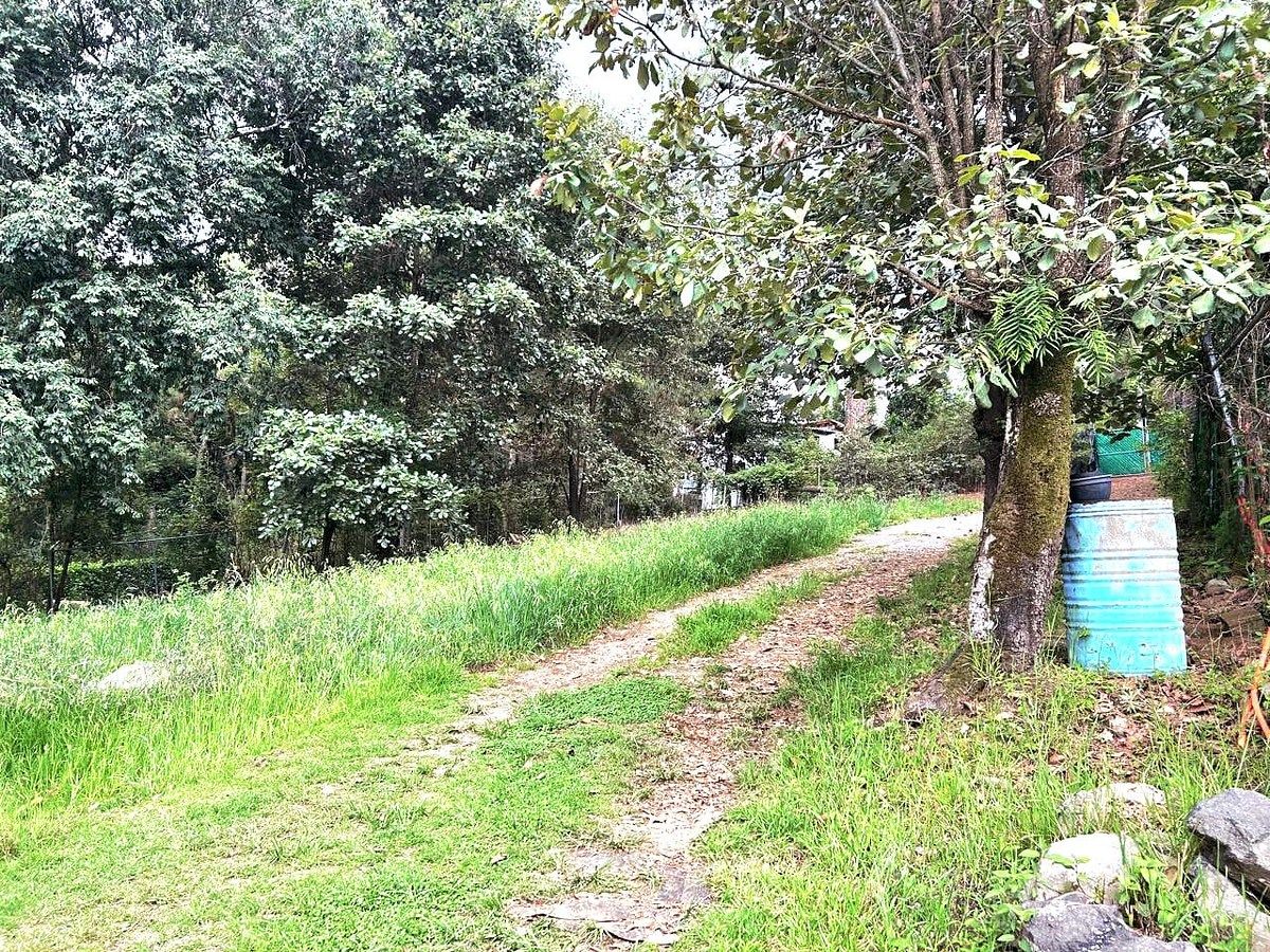 TERRENO EN VENTA CERRO GORDO VALLE DE BRAVO - foto 3