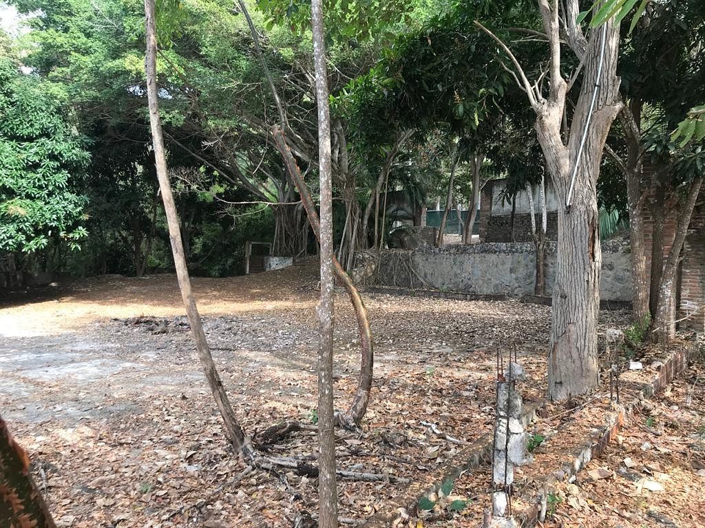 Lote em Lomas de Mismaloya, Puerto Vallarta, foto 9 de 30