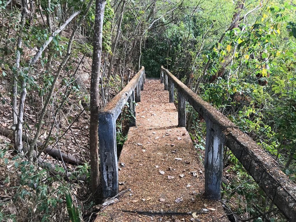 Lote em Lomas de Mismaloya, Puerto Vallarta, foto 10 de 30