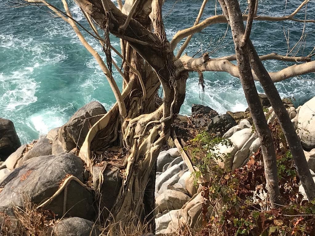 Lote em Lomas de Mismaloya, Puerto Vallarta, foto 12 de 30