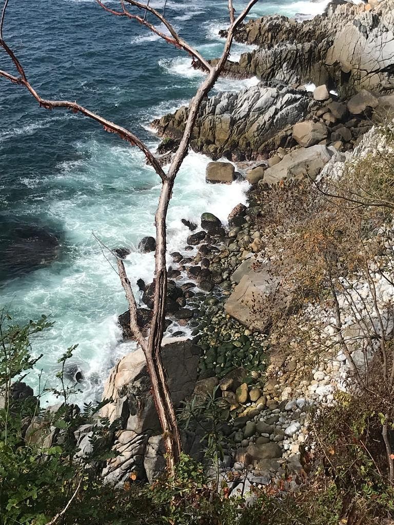 Lote em Lomas de Mismaloya, Puerto Vallarta, foto 11 de 30
