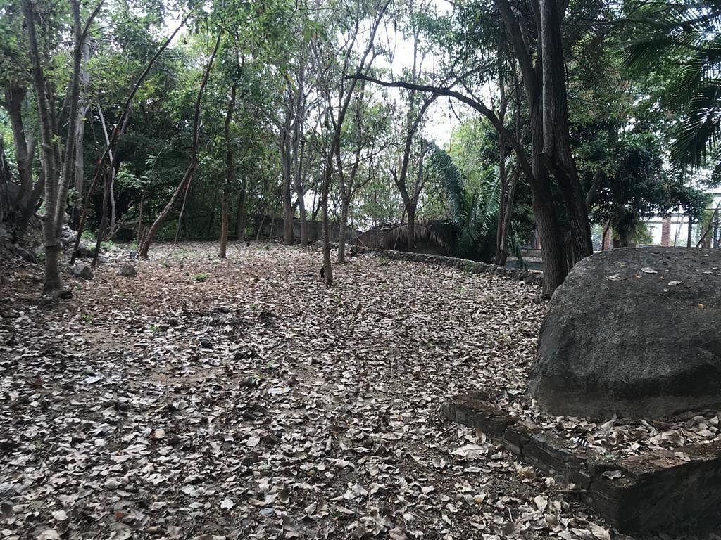 Lote em Lomas de Mismaloya, Puerto Vallarta, foto 20 de 30