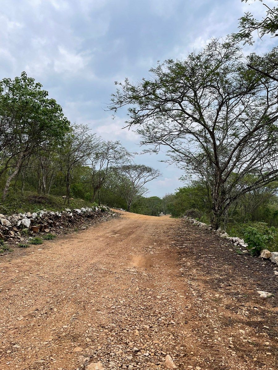 House in Plan de Ayala, Tuxtla Gutiérrez, photo 13 of 18