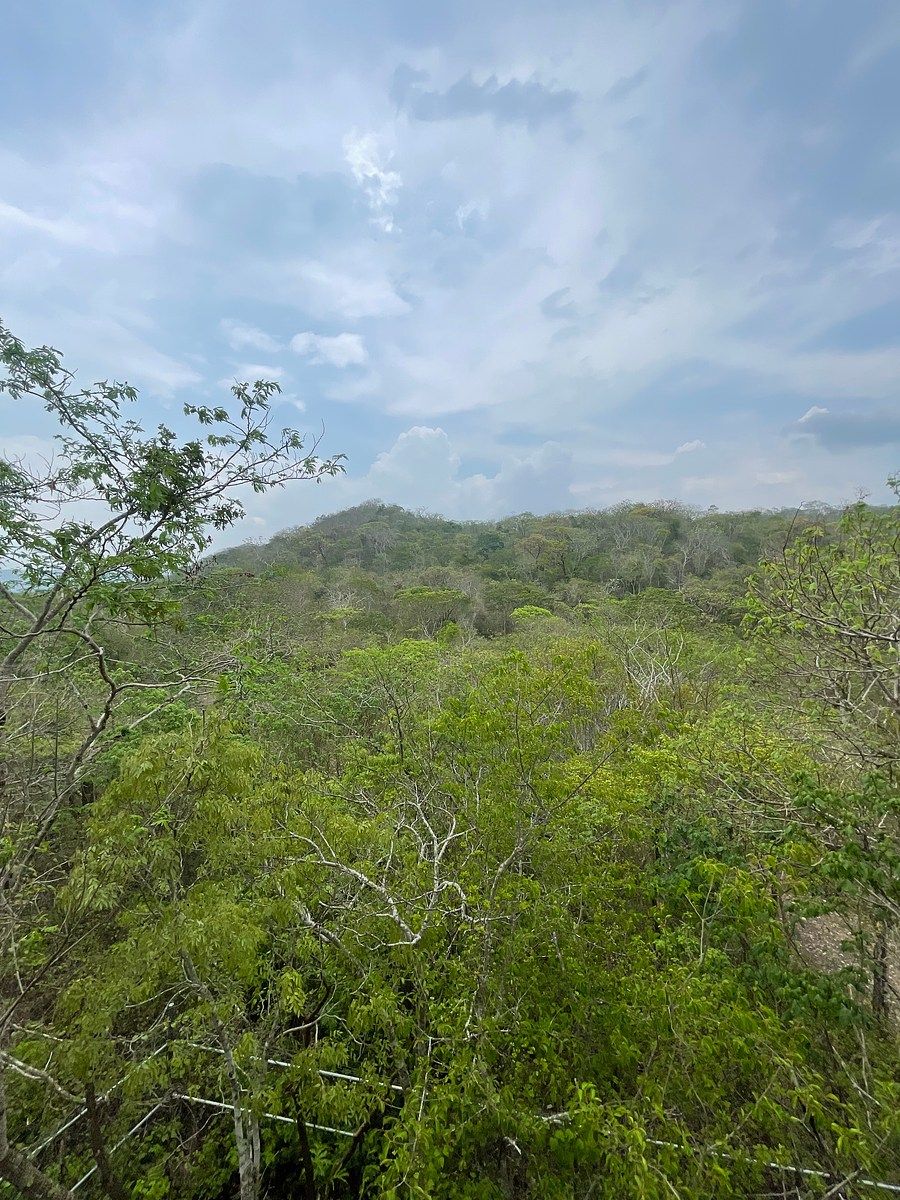 House in Plan de Ayala, Tuxtla Gutiérrez, photo 15 of 18
