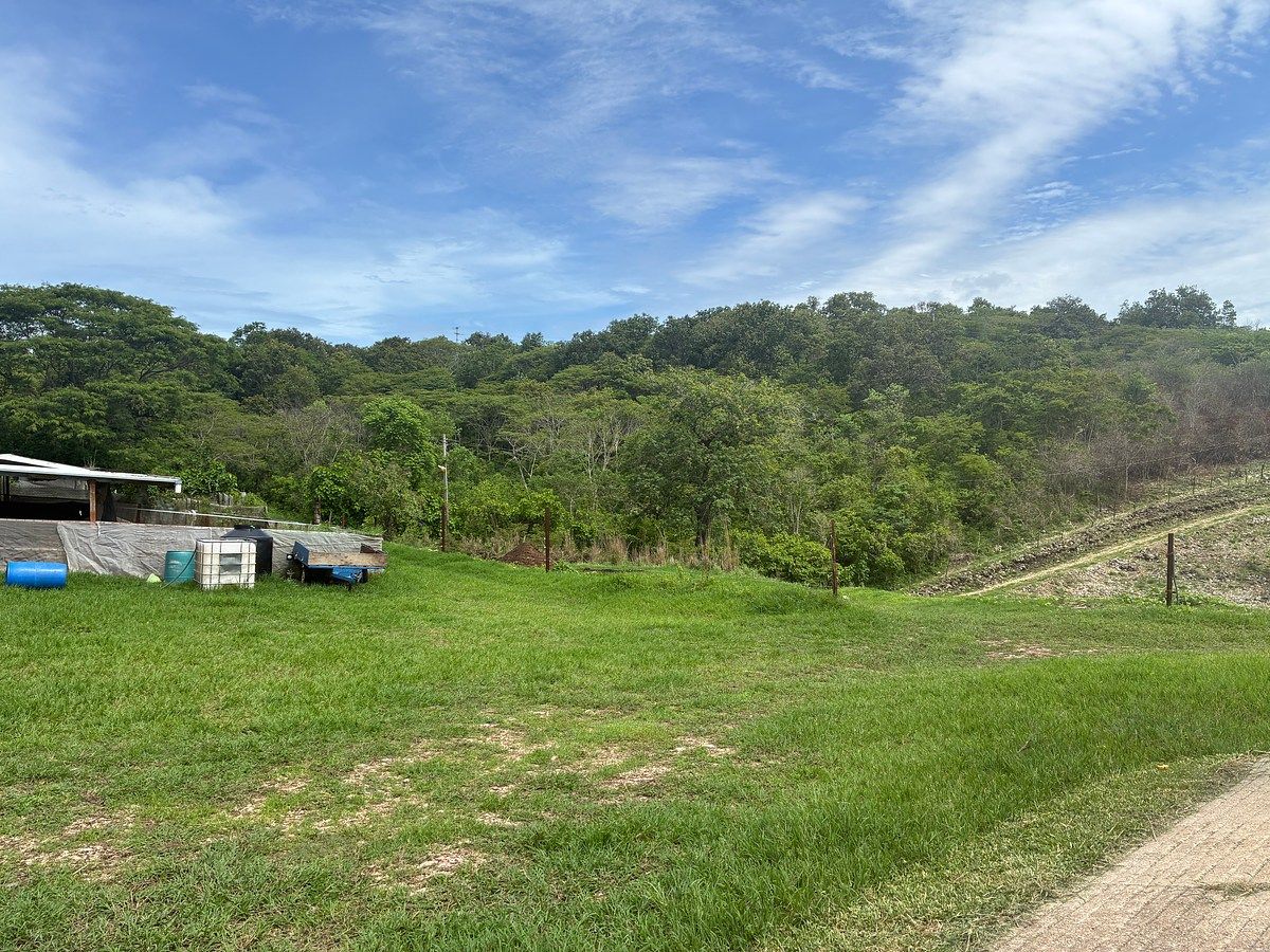 Rancho en Ciudad Bonampak, Ocozocoautla de Espinosa, foto 2 de 25
