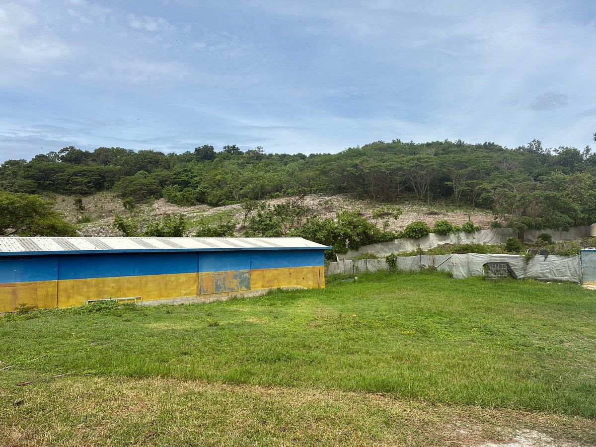 Rancho en Ciudad Bonampak, Ocozocoautla de Espinosa, foto 3 de 25