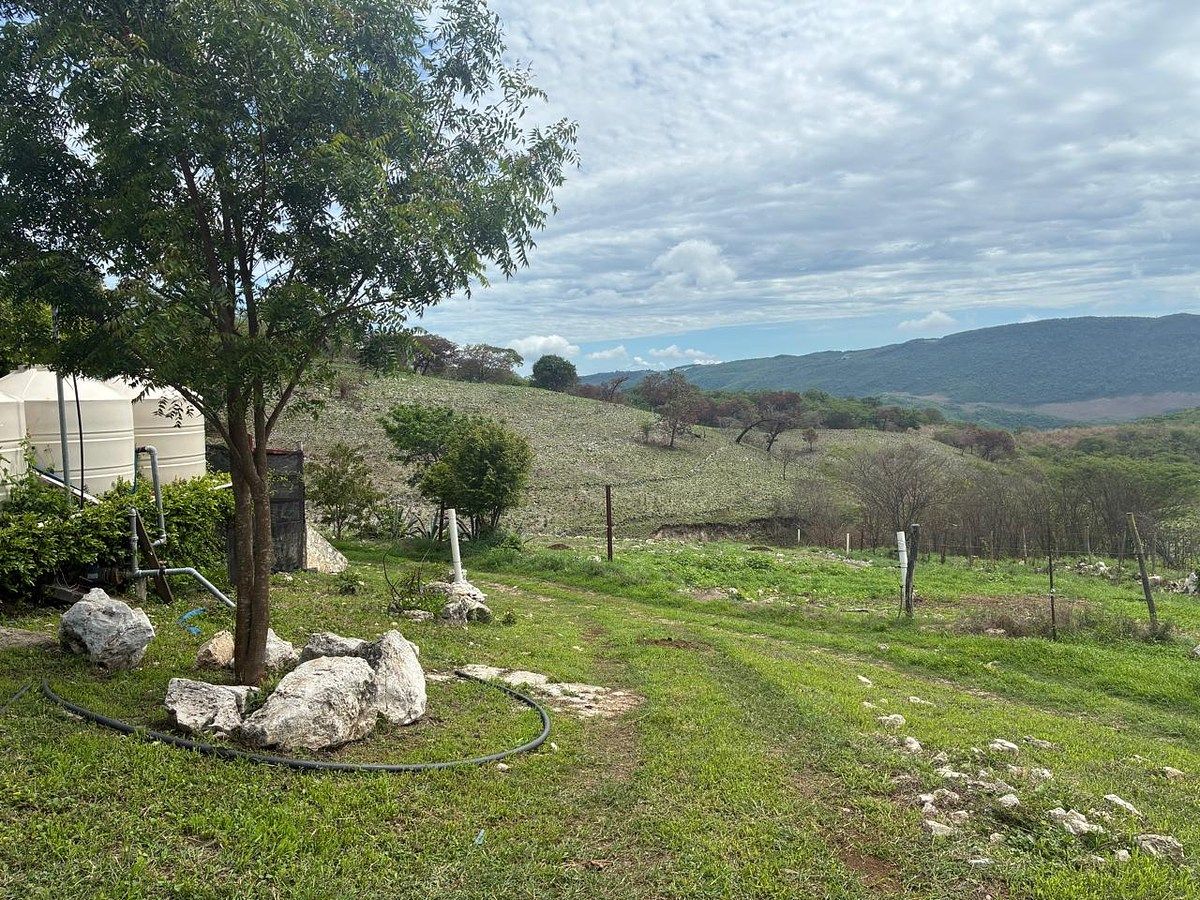 Rancho en Ciudad Bonampak, Ocozocoautla de Espinosa, foto 5 de 25