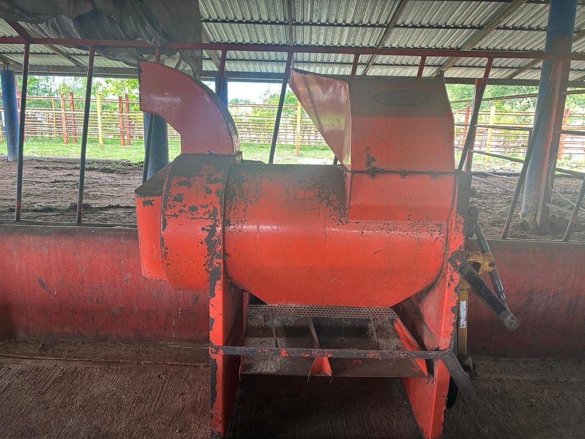 Rancho en Ciudad Bonampak, Ocozocoautla de Espinosa, foto 6 de 25