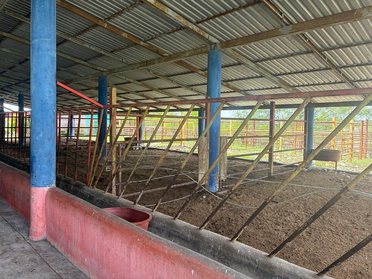 Rancho en Ciudad Bonampak, Ocozocoautla de Espinosa, foto 7 de 25