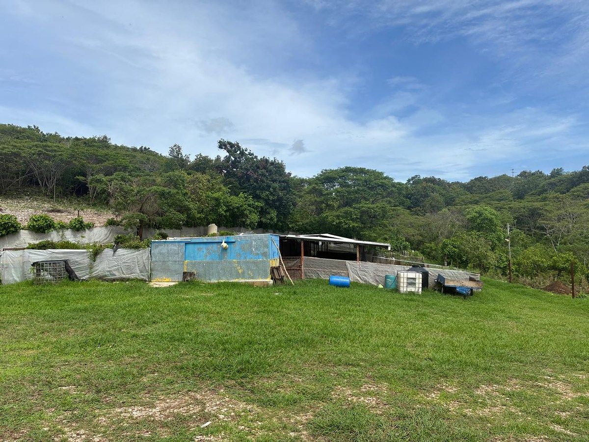 Rancho en Ciudad Bonampak, Ocozocoautla de Espinosa, foto 8 de 25