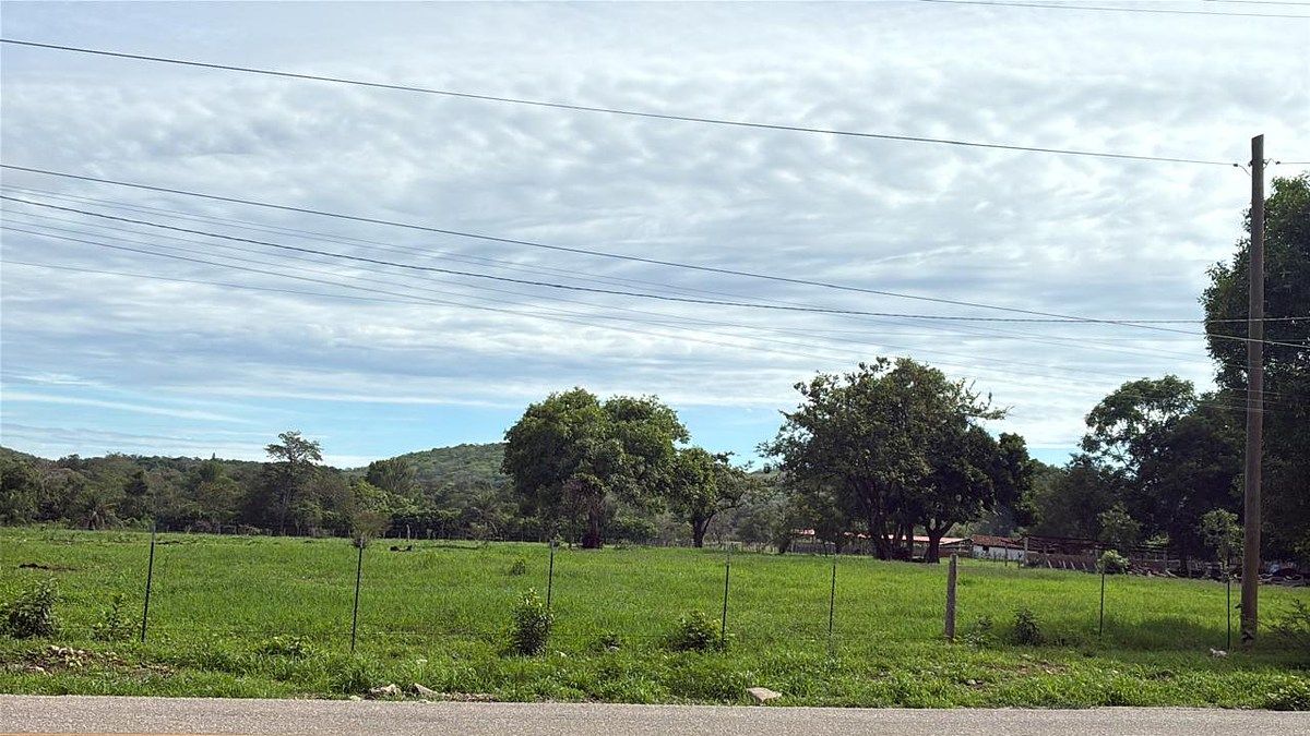 Rancho en Ciudad Bonampak, Ocozocoautla de Espinosa, foto 11 de 25