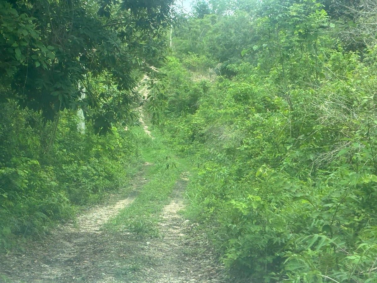 Rancho en Ciudad Bonampak, Ocozocoautla de Espinosa, foto 12 de 25