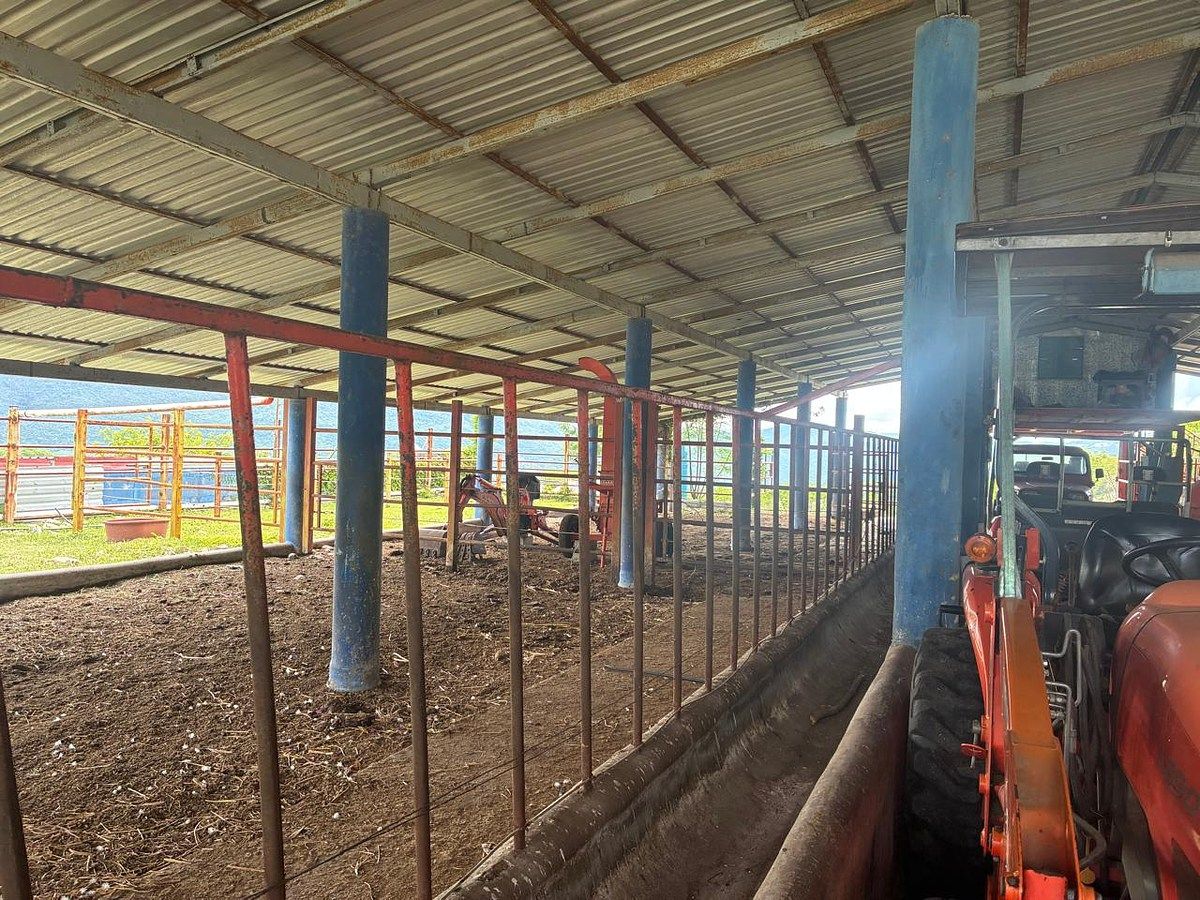 Rancho en Ciudad Bonampak, Ocozocoautla de Espinosa, foto 14 de 25