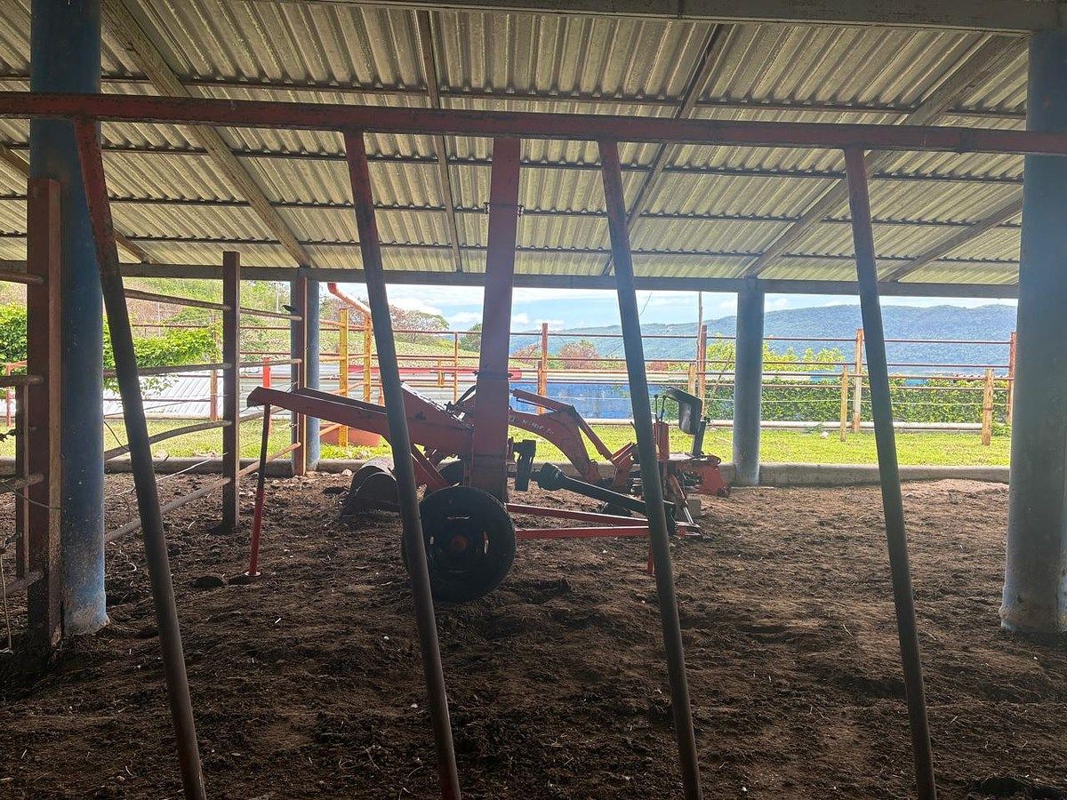 Rancho en Ciudad Bonampak, Ocozocoautla de Espinosa, foto 16 de 25