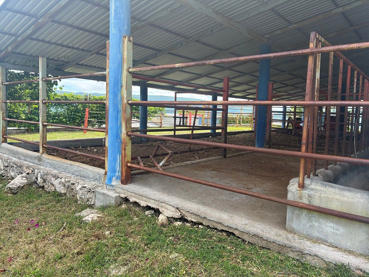 Rancho en Ciudad Bonampak, Ocozocoautla de Espinosa, foto 19 de 25