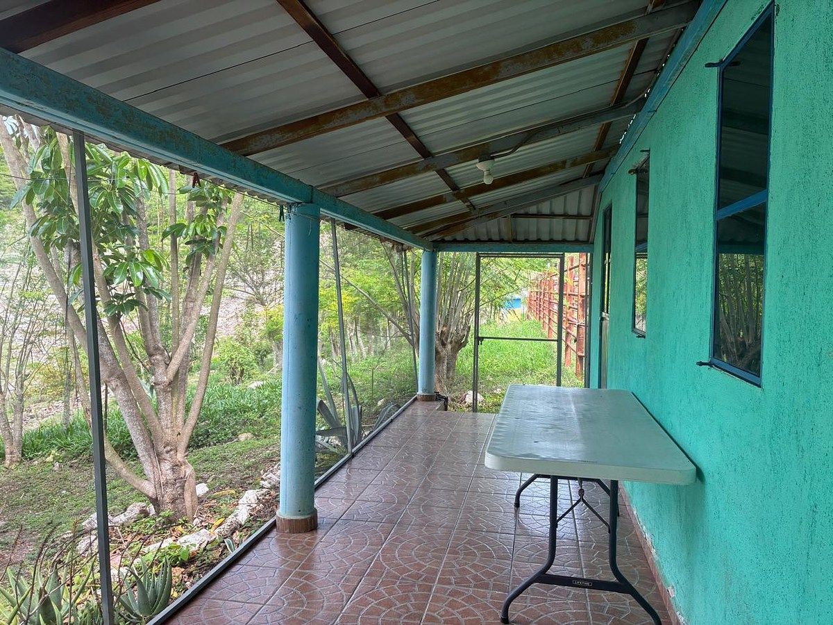 Rancho en Ciudad Bonampak, Ocozocoautla de Espinosa, foto 20 de 25