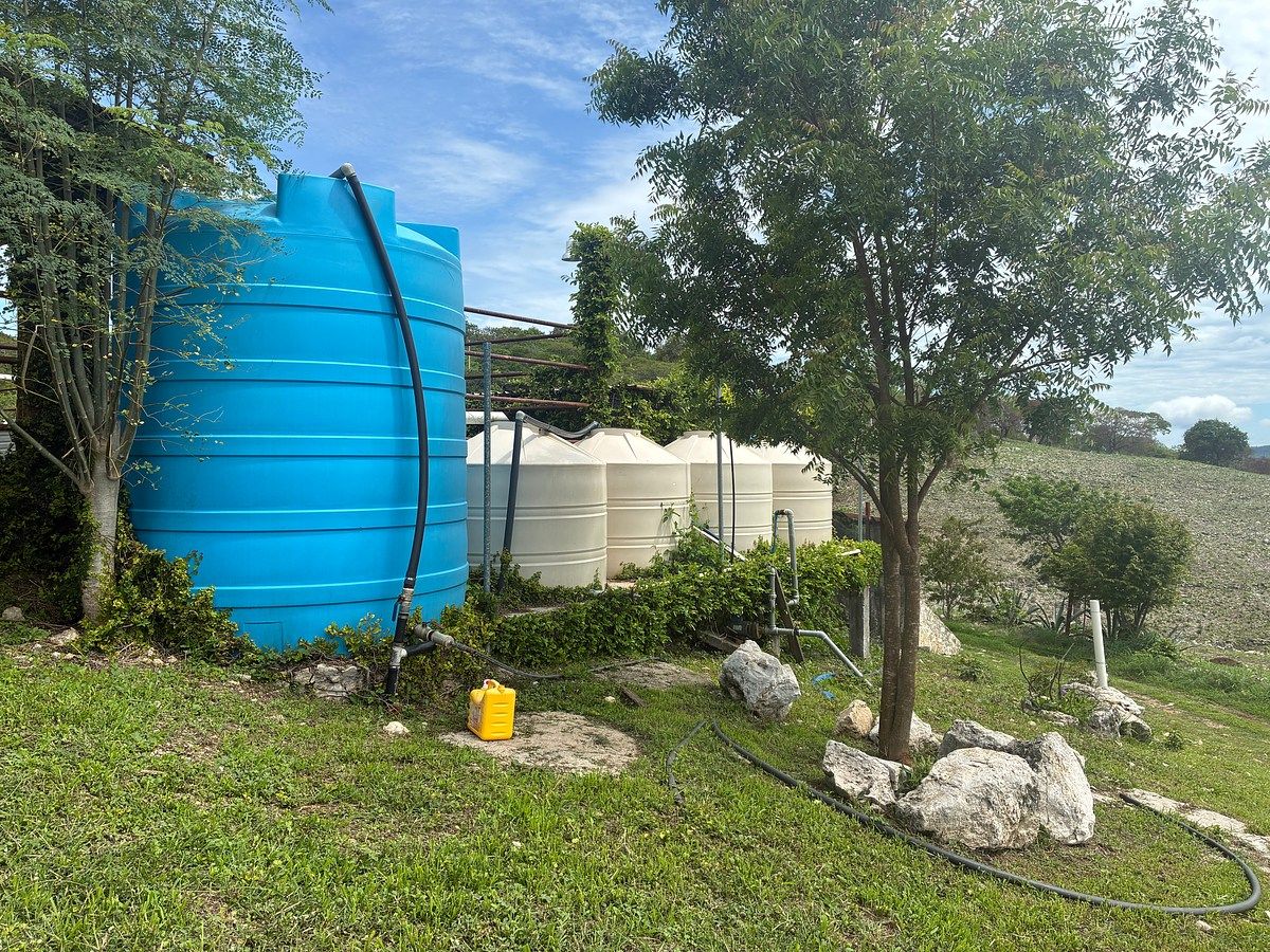 Rancho en Ciudad Bonampak, Ocozocoautla de Espinosa, foto 21 de 25