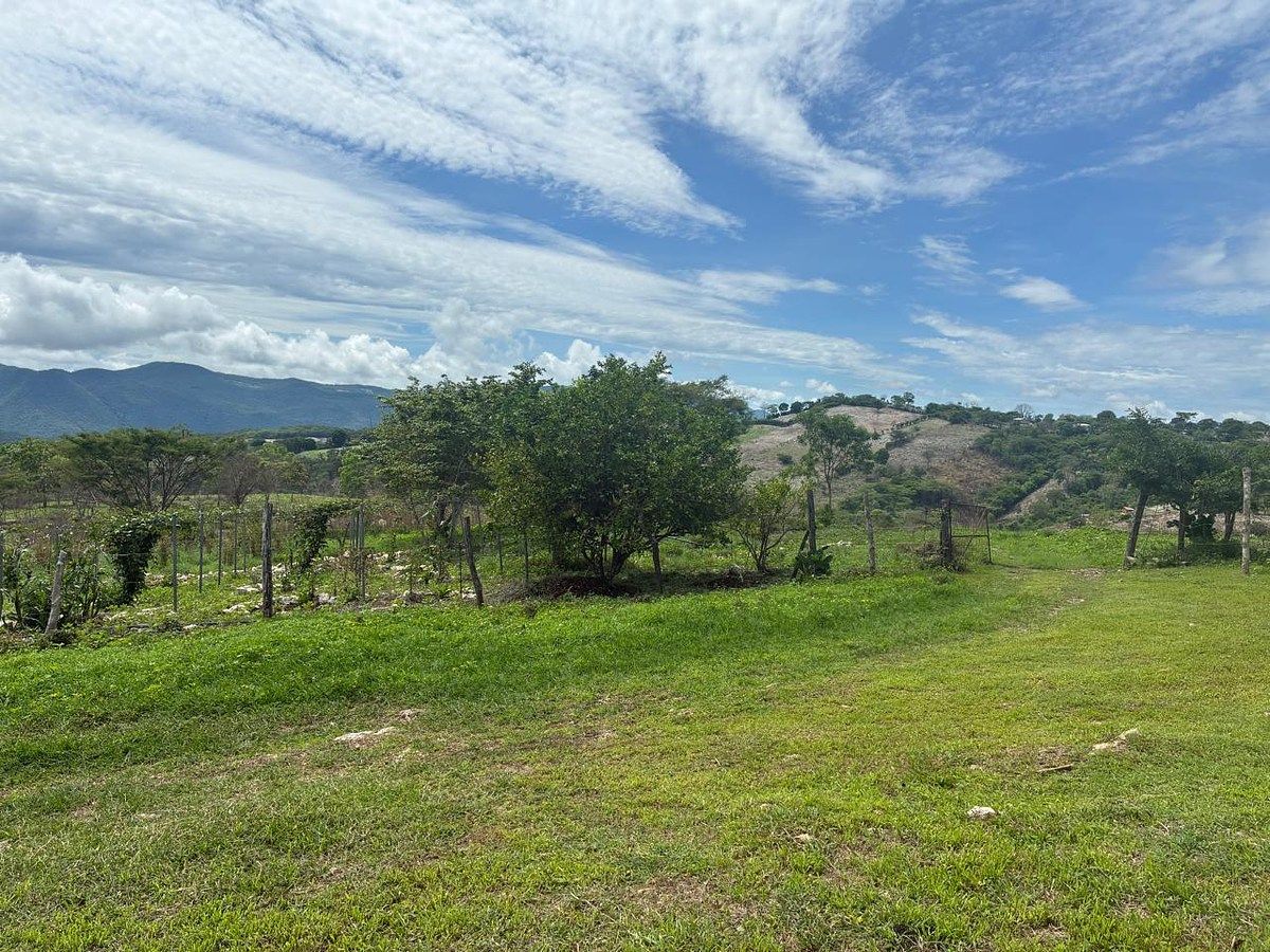 Rancho en Ciudad Bonampak, Ocozocoautla de Espinosa, foto 23 de 25