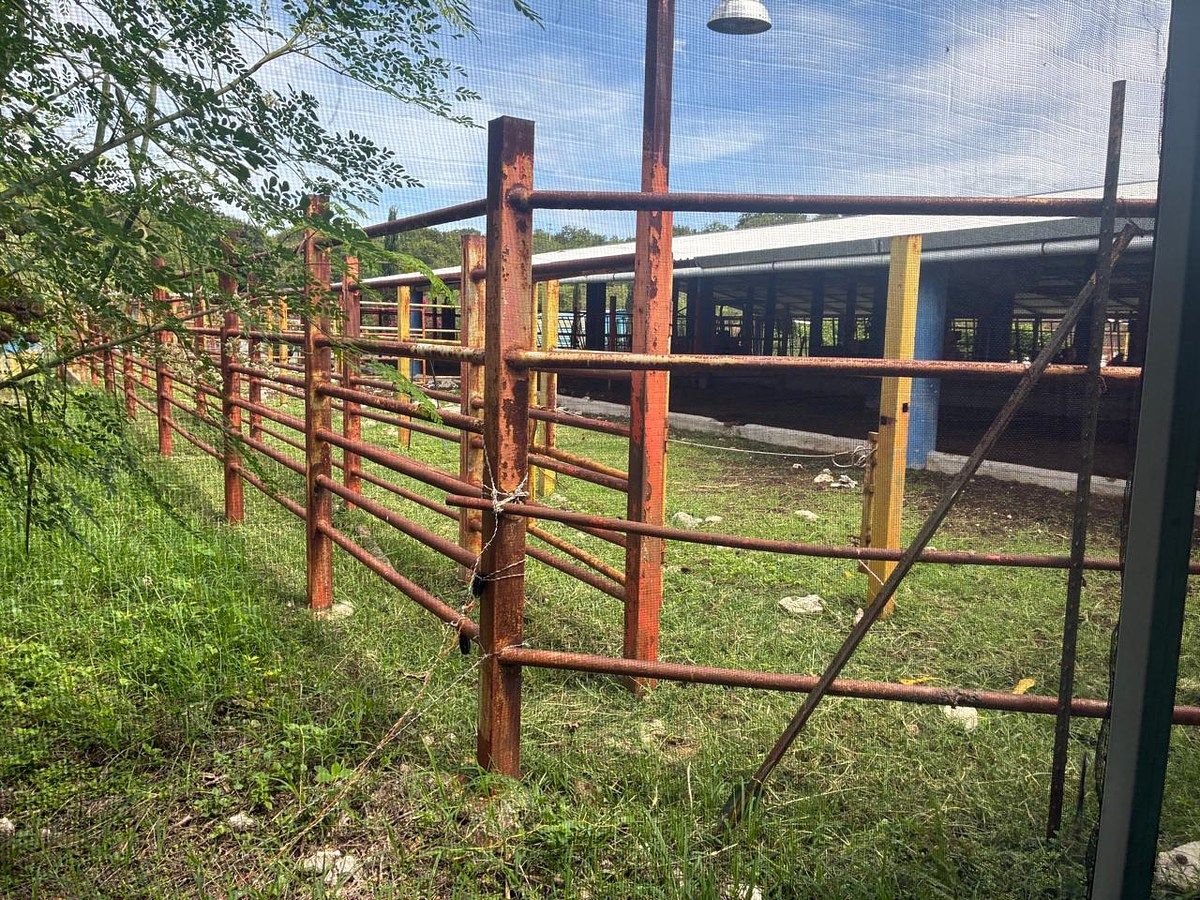 Rancho en Ciudad Bonampak, Ocozocoautla de Espinosa, foto 24 de 25