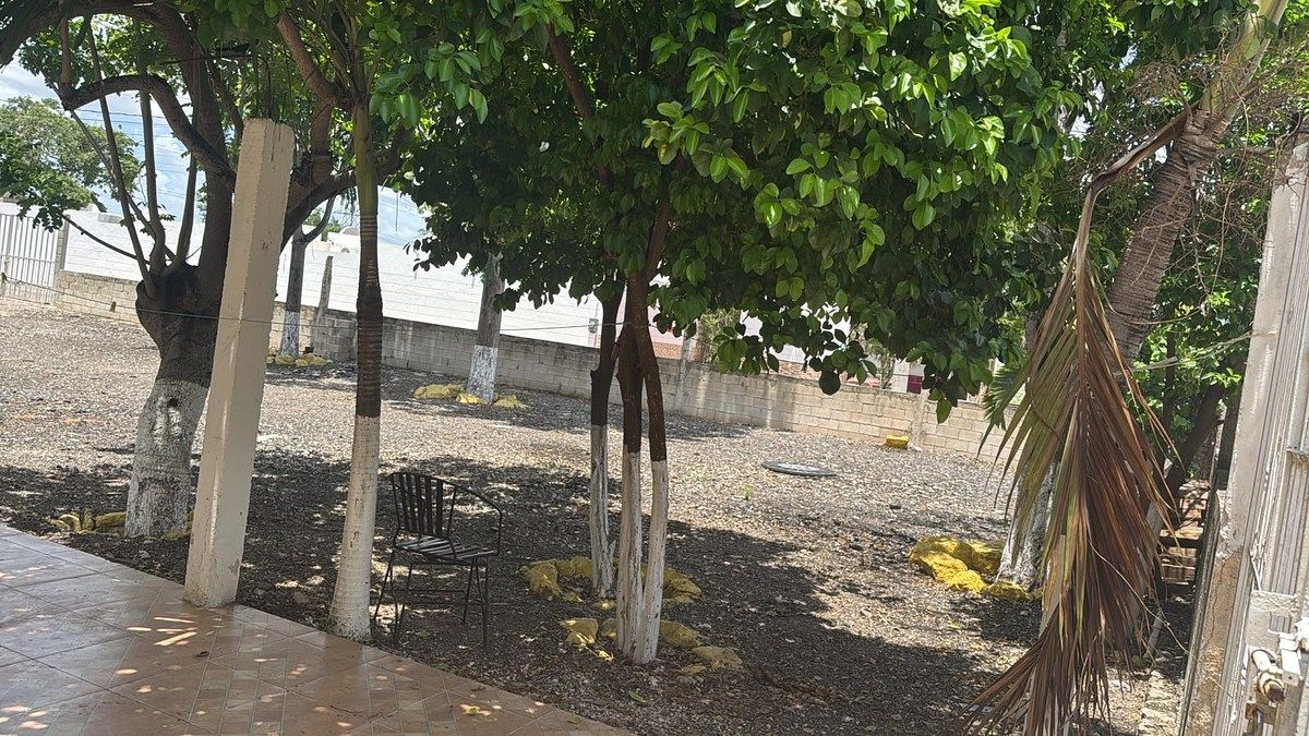 Lote em San Antonio Xluch III, Mérida, foto 5 de 16