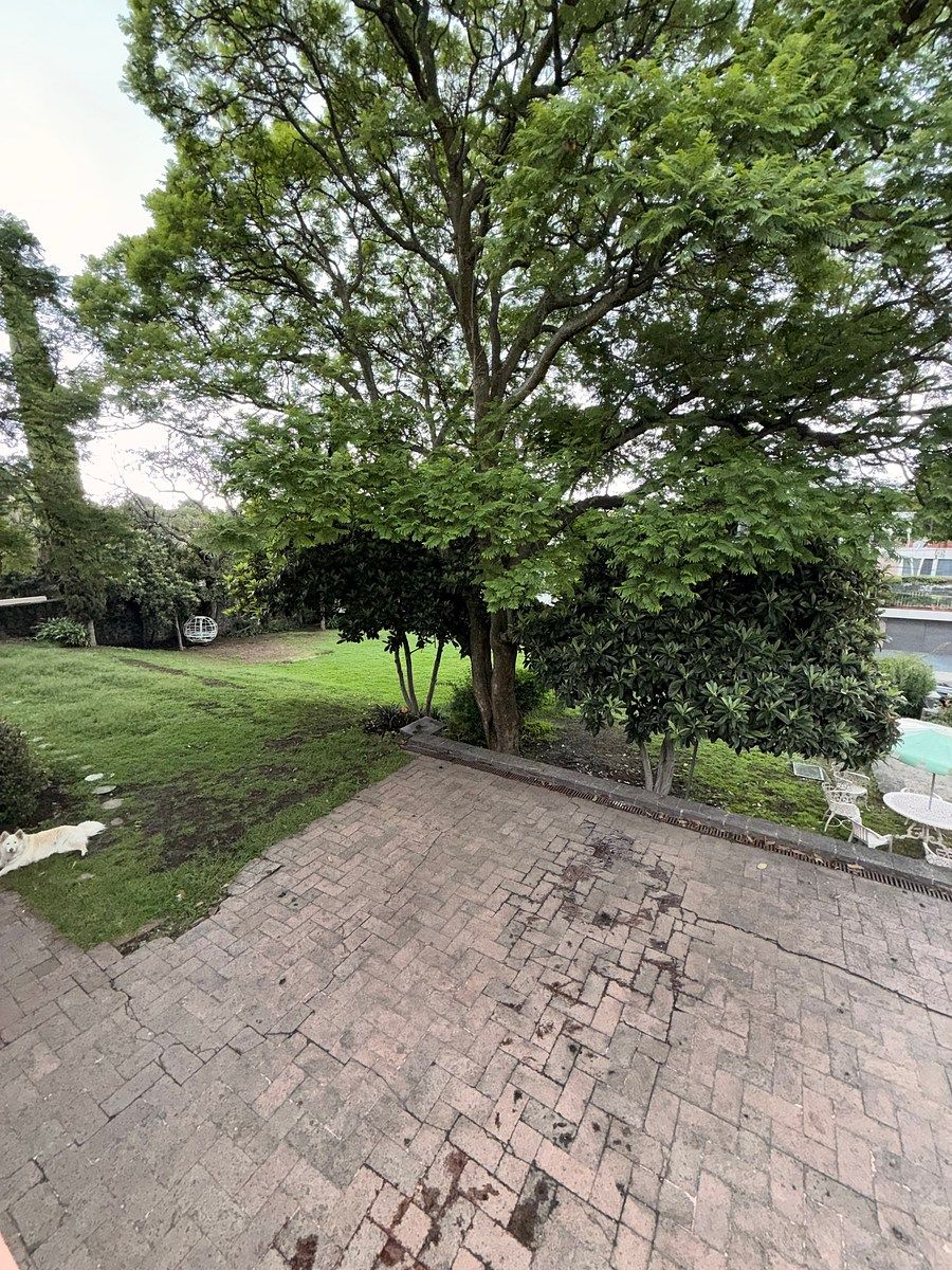 Casa em Jardines del Pedregal, Álvaro Obregón, foto 28 de 40