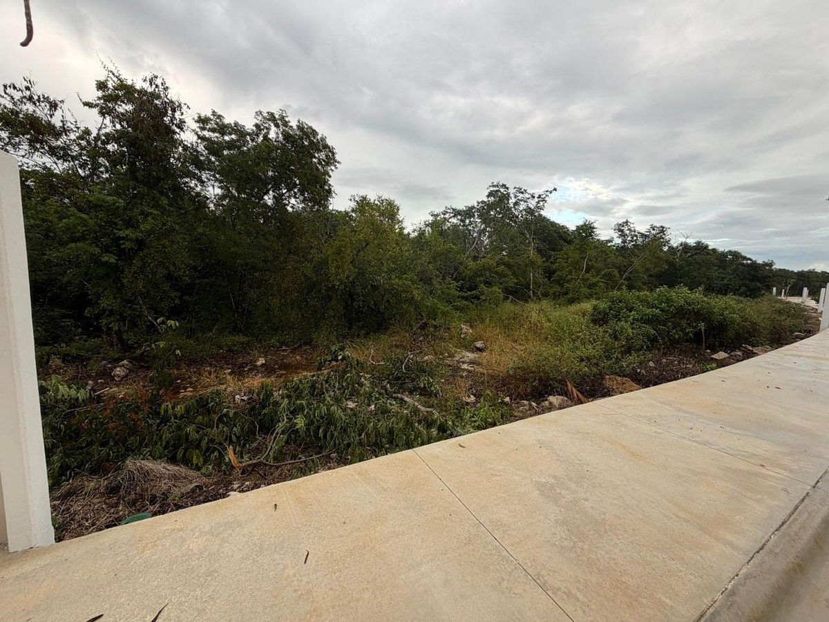 Lote em Tamanché, Mérida, foto 12 de 17