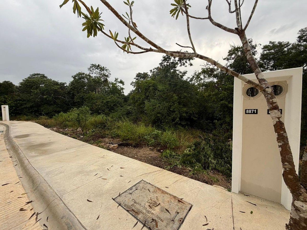 Lote em Tamanché, Mérida, foto 13 de 17