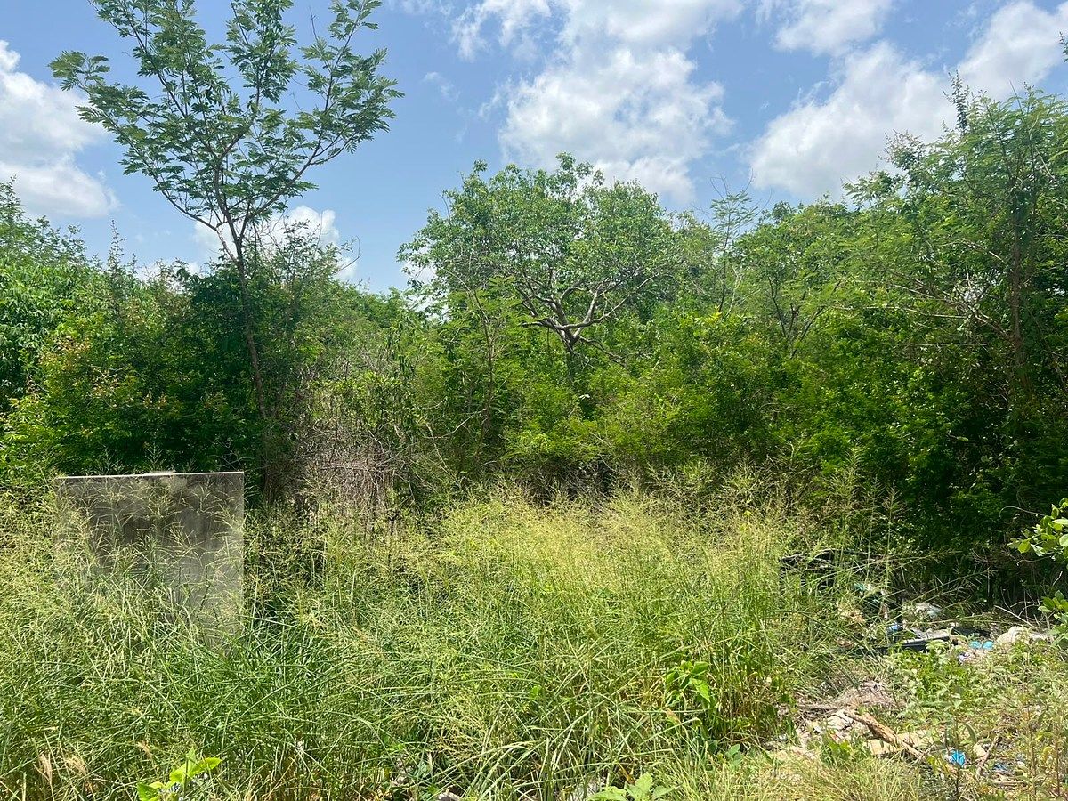 Terreno en Chichi Suárez, Mérida, foto 3 de 3