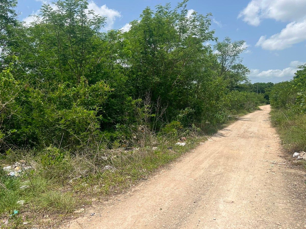 Terreno ideal para construir o invertir en Chichí Suárez, foto 1 de 3