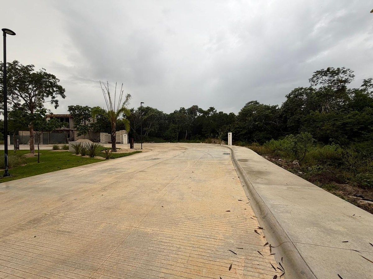 Lot in Tamanché, Mérida, photo 15 of 23