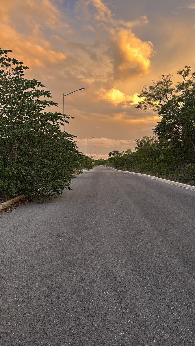 Terreno en Real Montejo, Mérida, foto 3 de 6