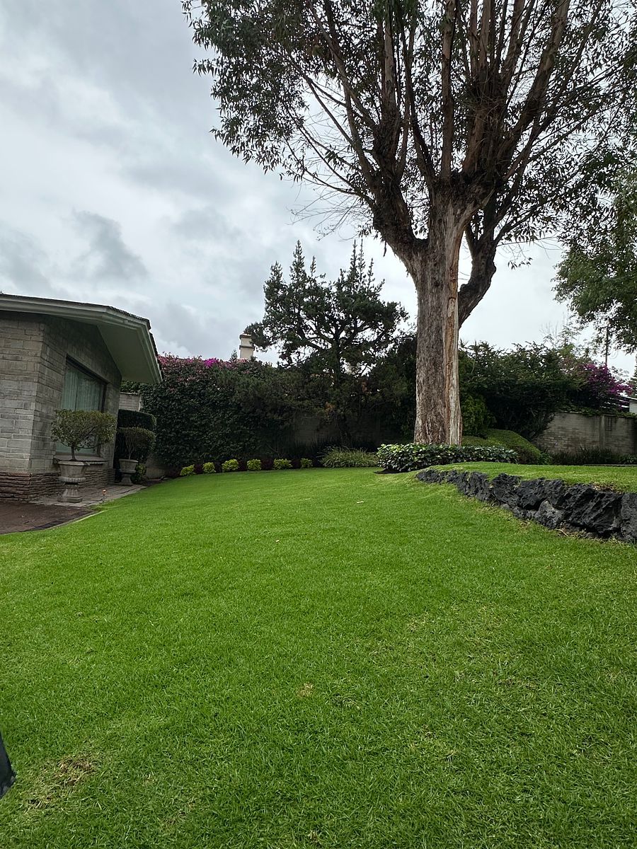 House in Bosque de las Lomas, Miguel Hidalgo, photo 3 of 30