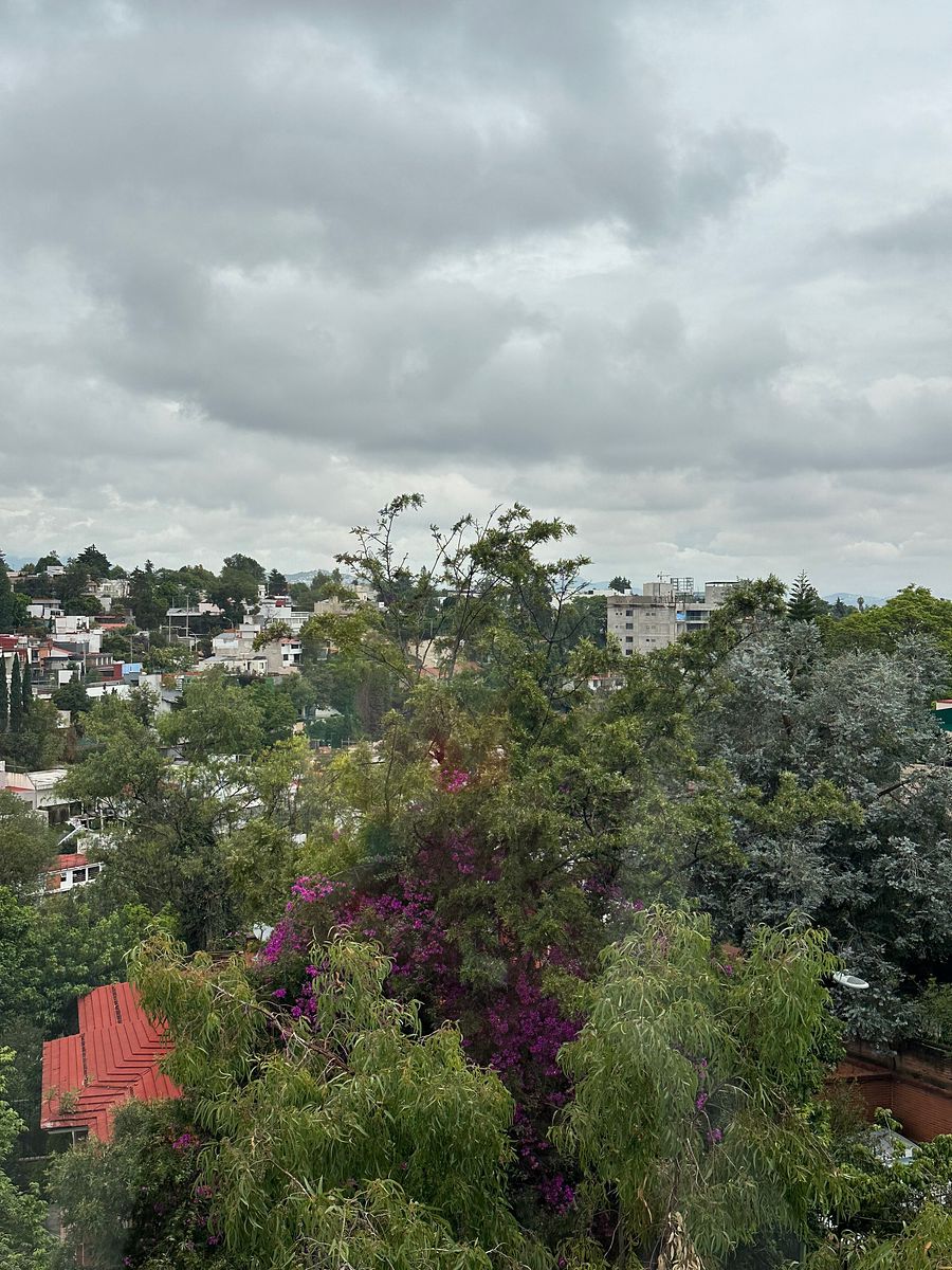 House in Bosque de las Lomas, Miguel Hidalgo, photo 23 of 30