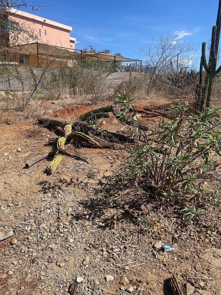 Lote em El Triunfo, La Paz, foto 16 de 26