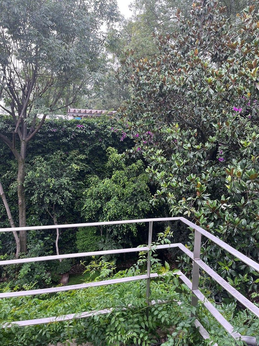 Casa en San Angel Inn, Álvaro Obregón, foto 24 de 27