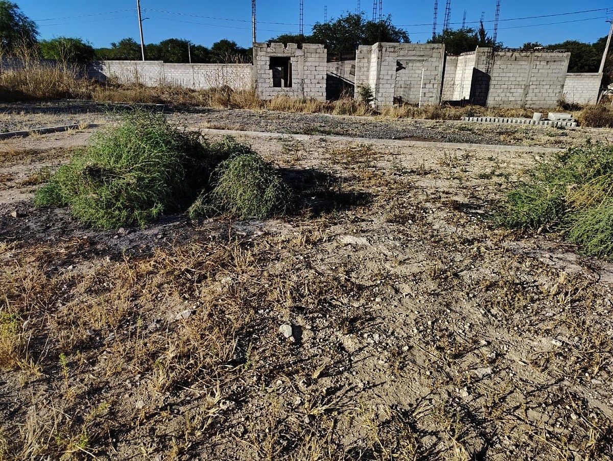 Lote em La Cieneguita, San Miguel de Allende, foto 24 de 37