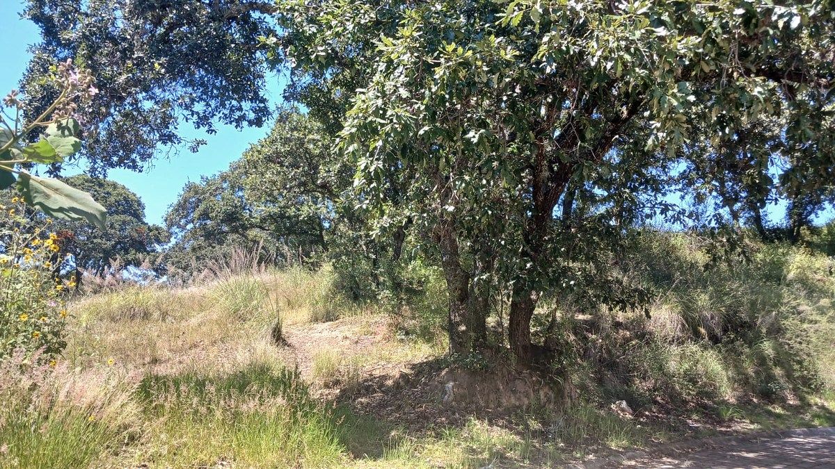 Terreno en Campestre Haras, Amozoc, foto 12 de 18