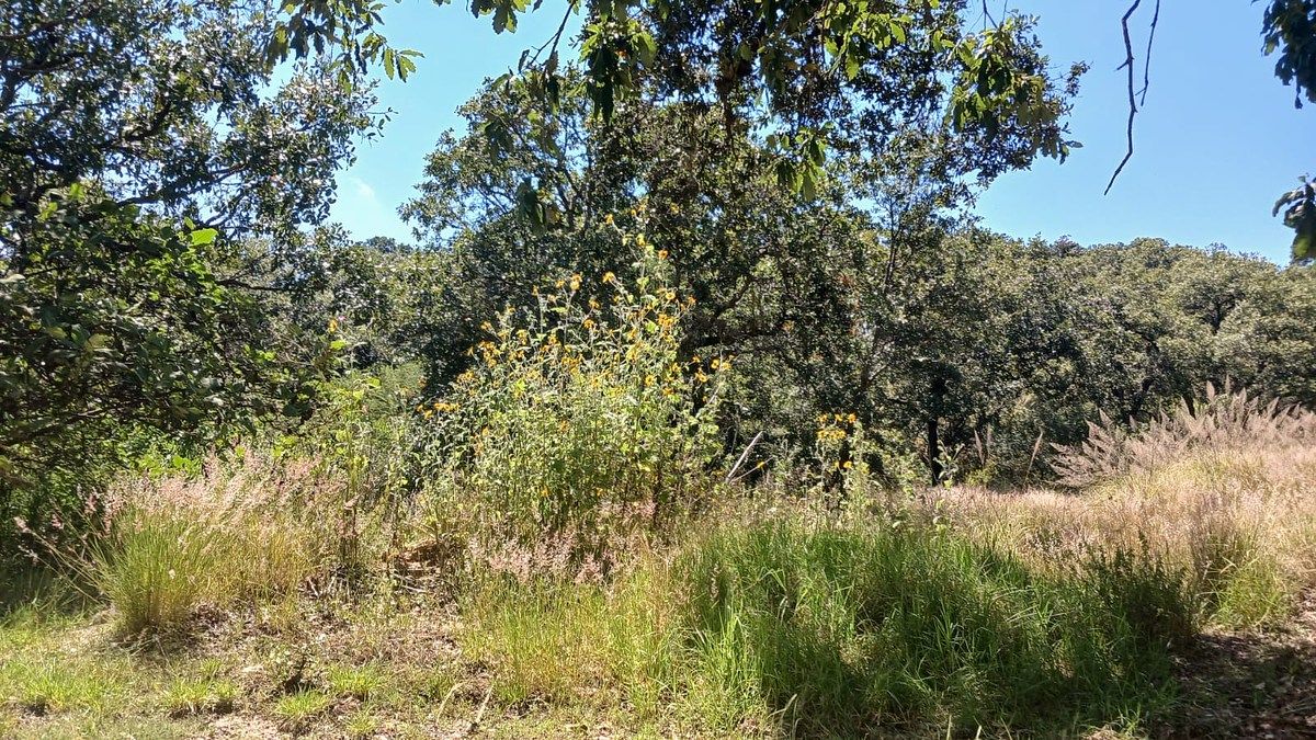 Terreno en Campestre Haras, Amozoc, foto 14 de 18
